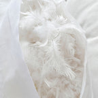 Close-up of white soft feathers inside a pillow showcasing fluffy texture and softness