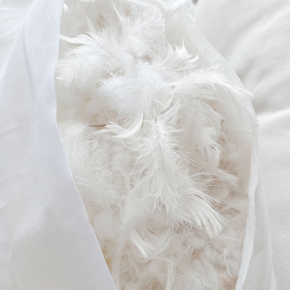 Close-up of white soft feathers inside a pillow showcasing fluffy texture and softness