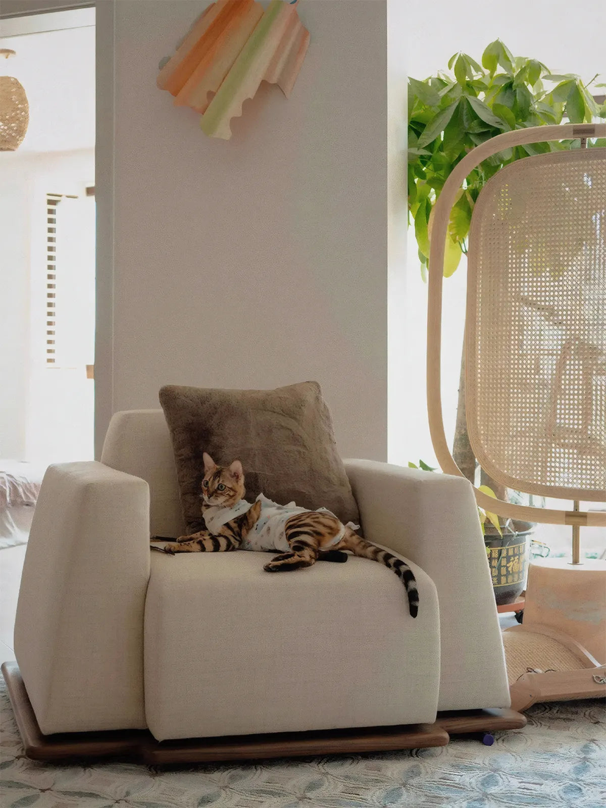 Bengal cat resting on the wide seat of the Nara pet-friendly boucle armchair with solid walnut base.