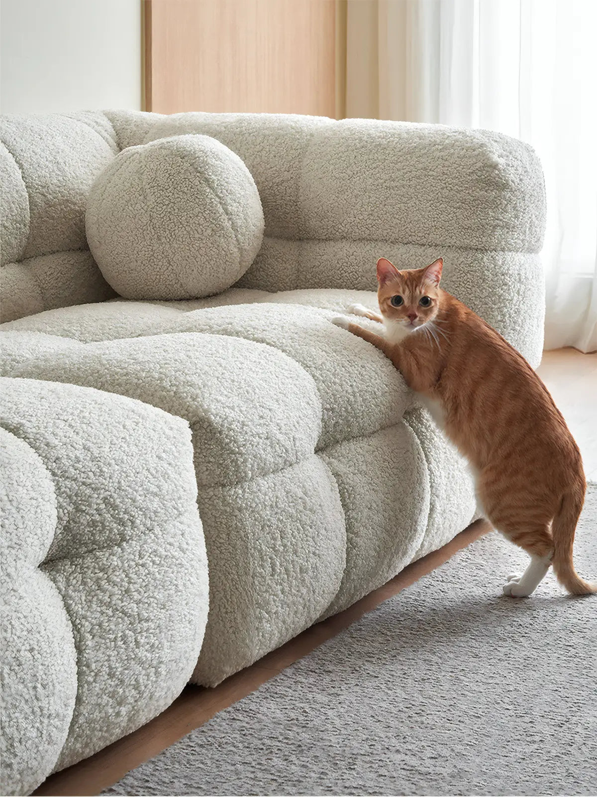 Orange tabby cat scratching the durable bouclé fabric of the Walnutry Cumberland sofa, highlighting pet-friendly upholstery.