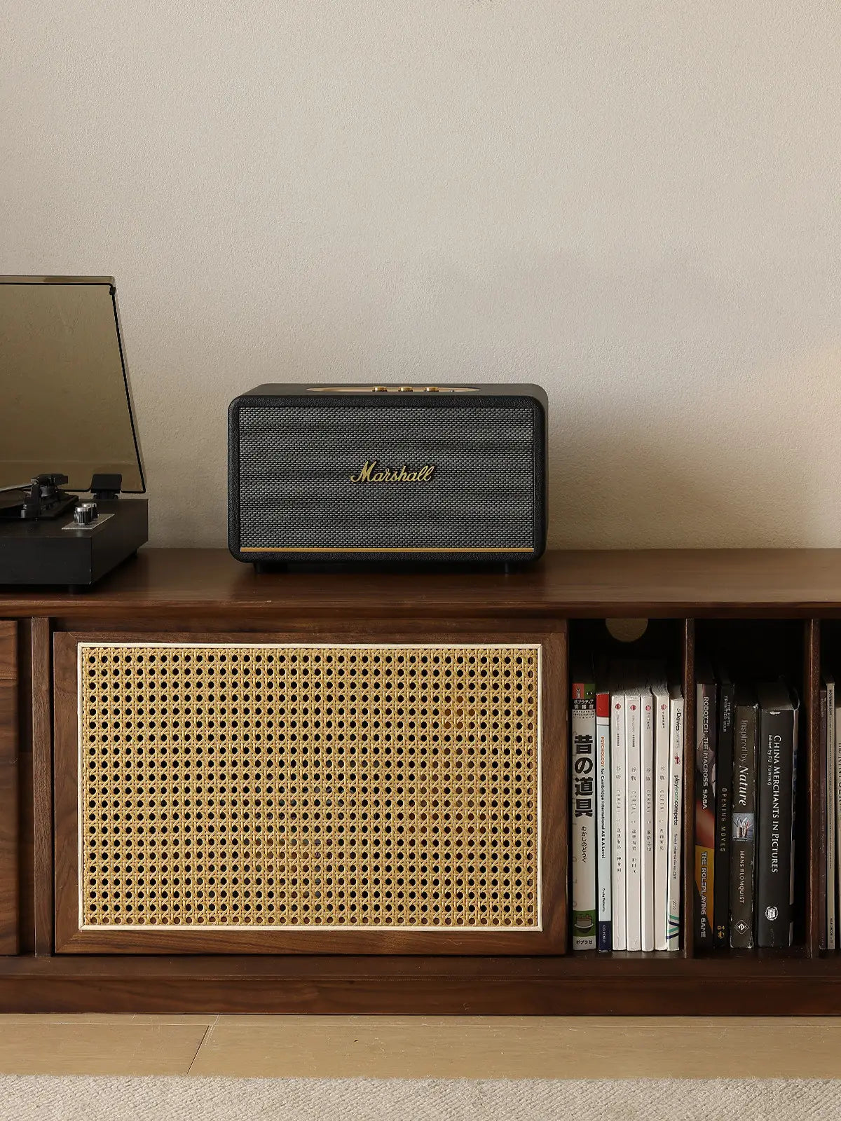 Walnutry Arden mid century modern stereo console with cane panel and open shelf storage